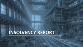 Insolvency Report 07/2024