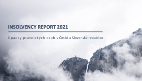 Insolvency Report 08/2021